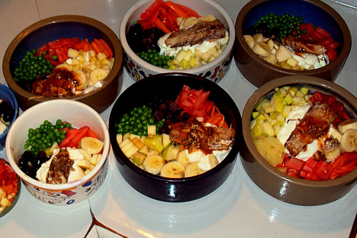 alimentação natural para cães